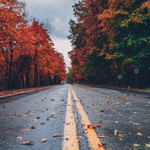 Veilig in de auto met het herfstweer | Douwe de Beer Veilig in de auto met het herfstweer | Douwe de Beer